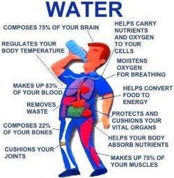 water-hydration